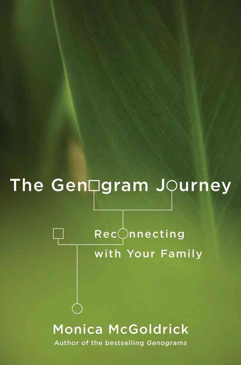 The Genogram Journey: Reconnecting with Your Family - görsel 1
