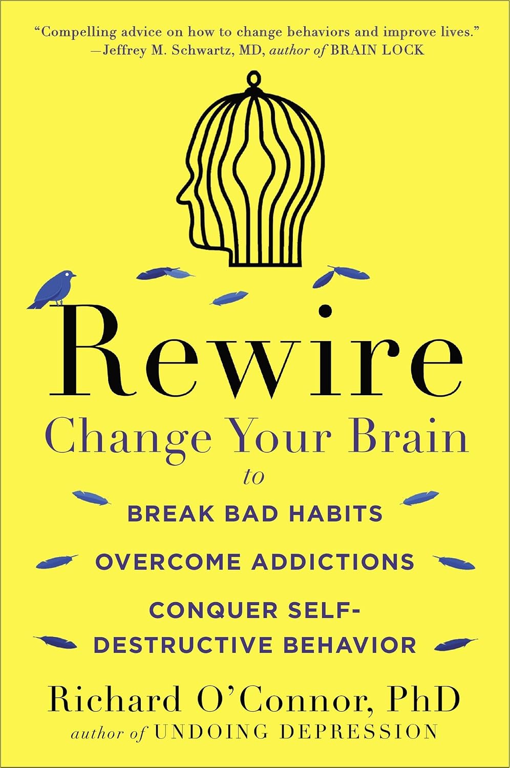 Rewire: Change Your Brain to Break Bad Habits, Overcome Addictions, Conquer Self-Destructive Behavior - görsel 1