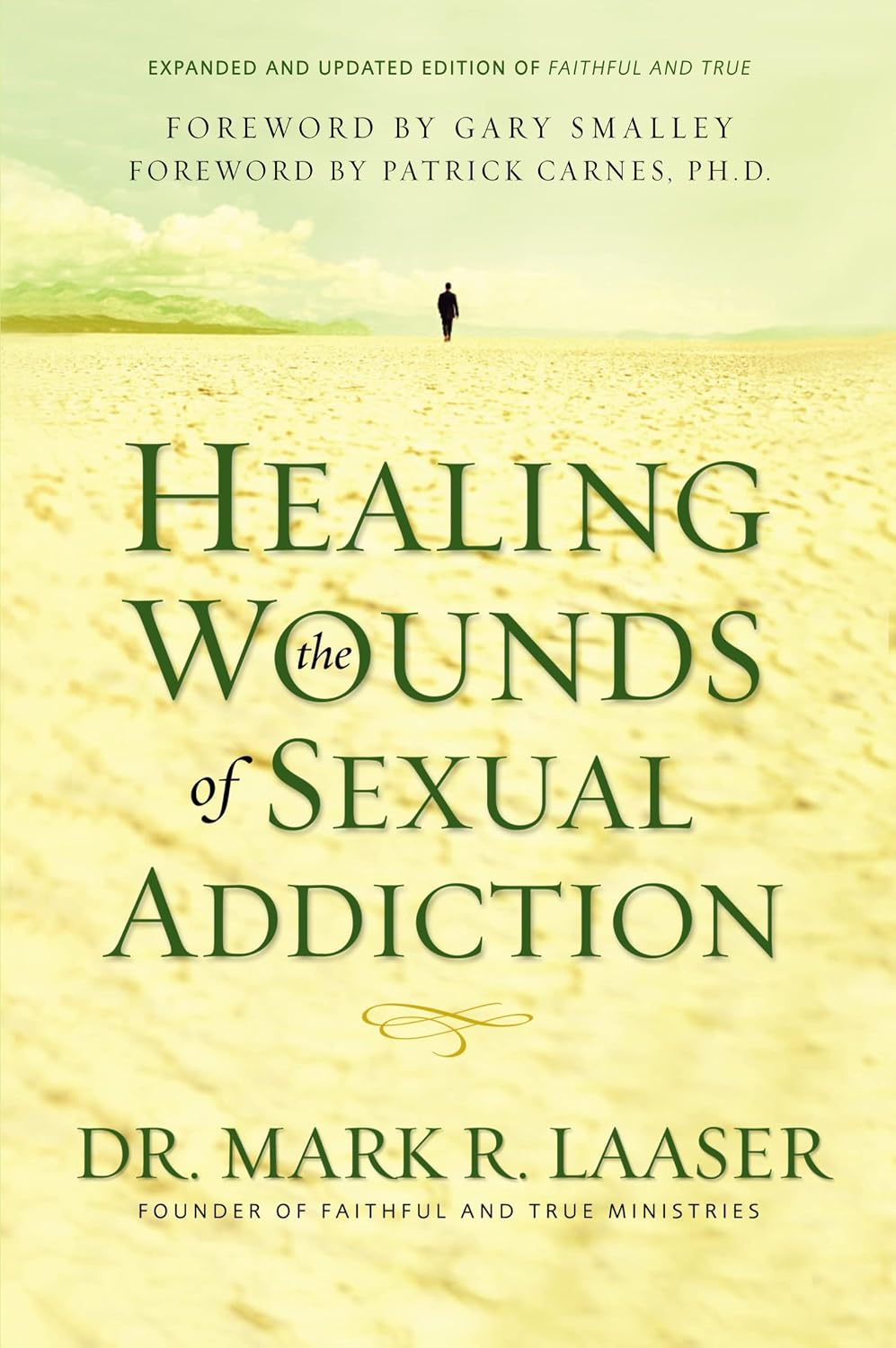 Healing the Wounds of Sexual Addiction: – Personas que luchan contra la adicción sexual y buscan un camino de – Image 1