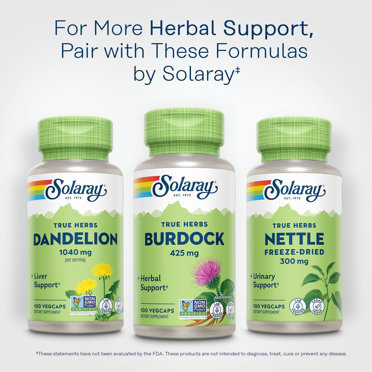 SOLARAY Raíz de Bardana 425 mg - 100 Cápsulas Vegetales – Image 6