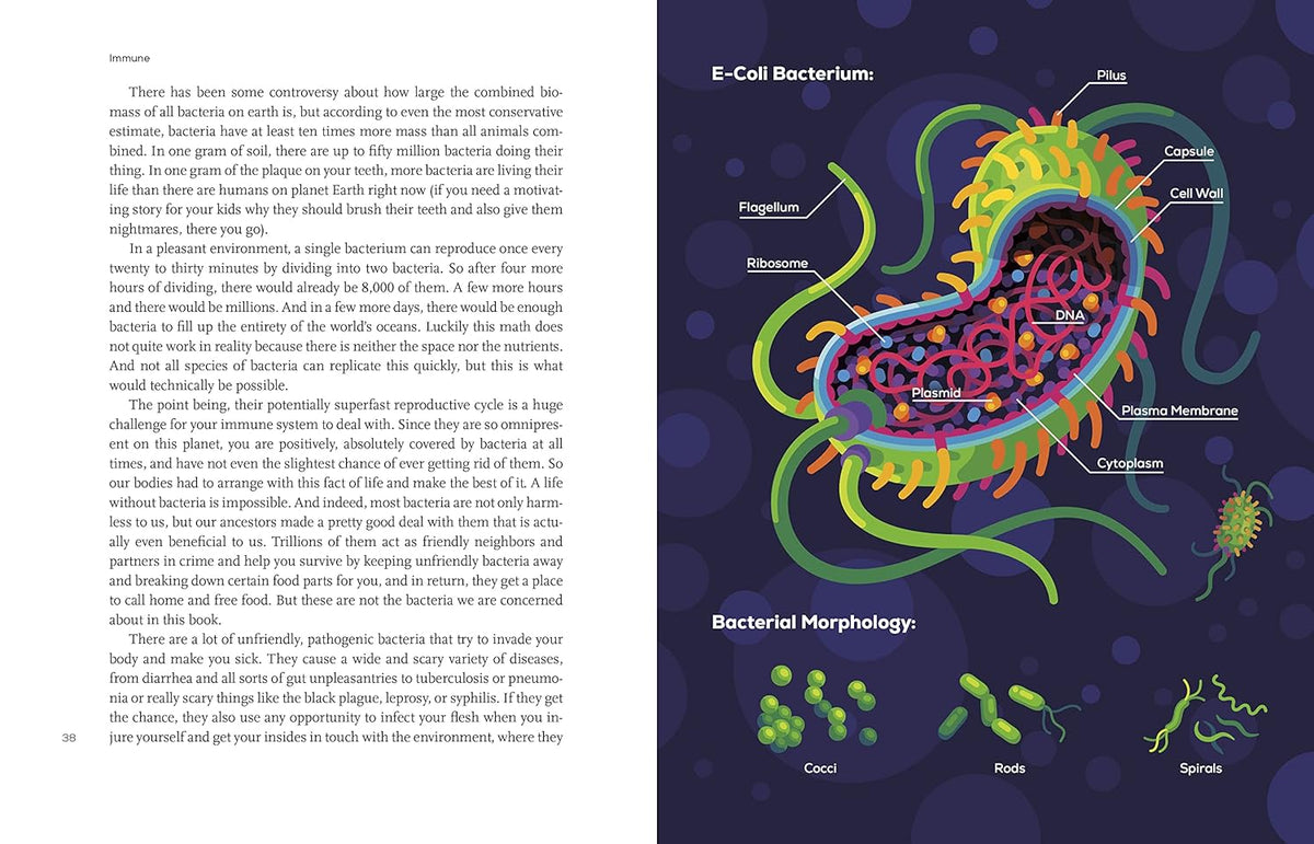 Immune: Un viaje al misterioso sistema que te mantiene vivo – Image 6