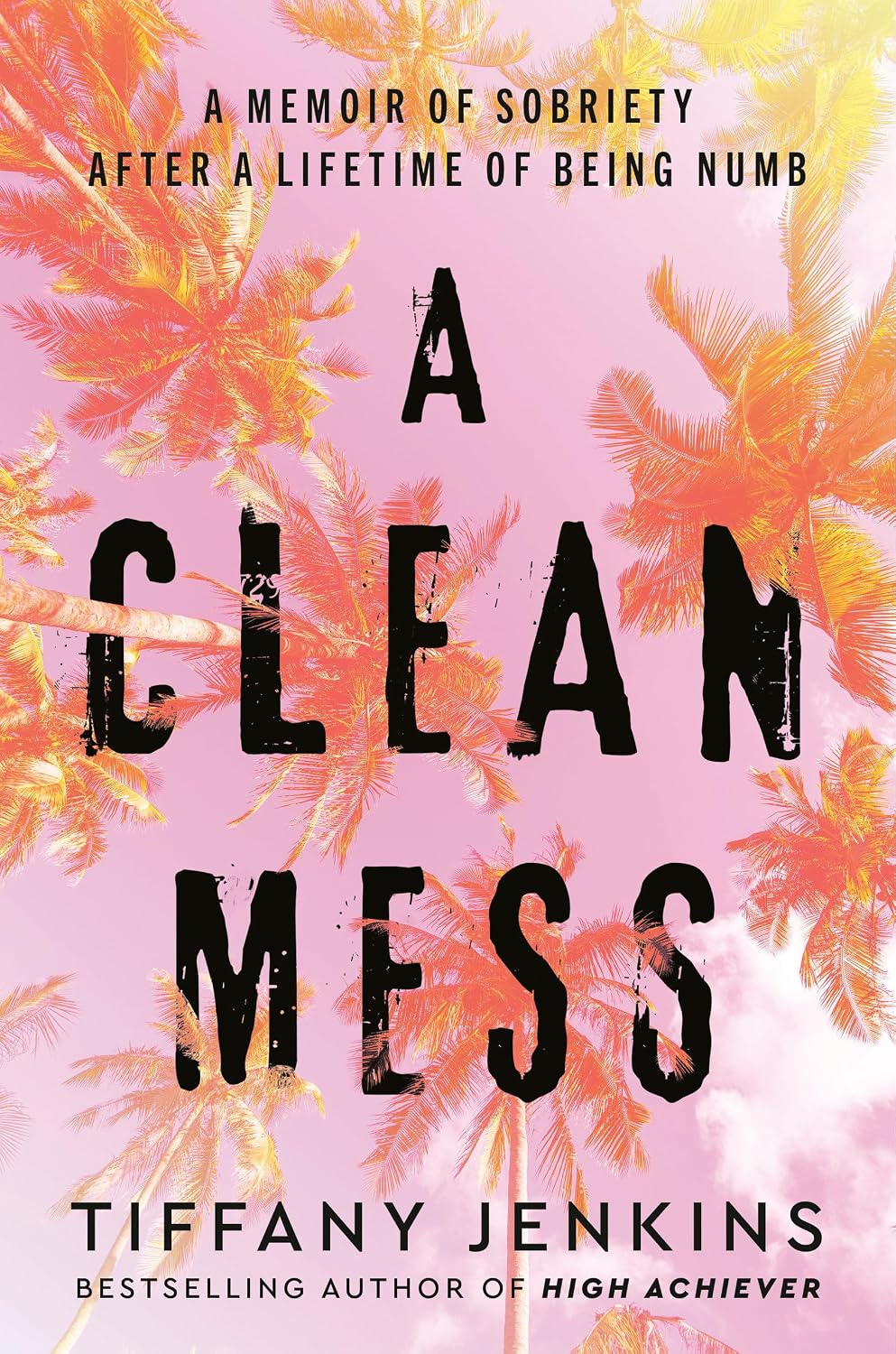 A Clean Mess: Unas Memorias de Sobriedad Después de una Vida de Entumecimiento