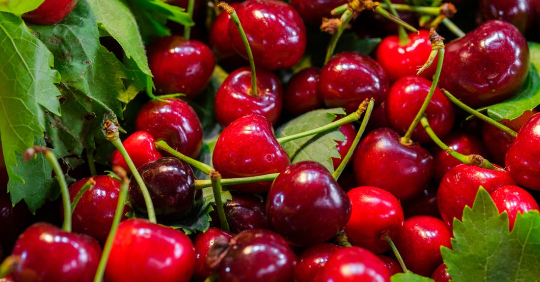 Cápsulas de cereza ácida sobre fondo blanco con polvo rojo y cerezas frescas