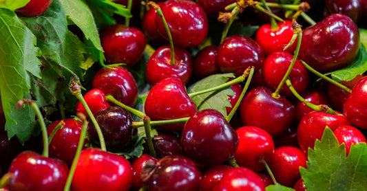Cápsulas de cereza ácida sobre fondo blanco con polvo rojo y cerezas frescas