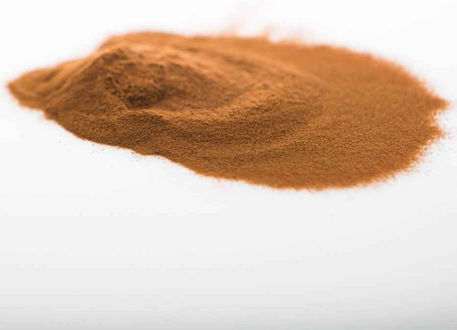 Sun Potion He Shou Wu en polvo – Extracto concentrado 10:1 200g – Raíz de Fo-Ti (Polygonum multiflorum) – Tónico tradicional chino