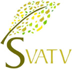 Shatavari en Polvo | Asparagus Racemosus | SVATV - 227g