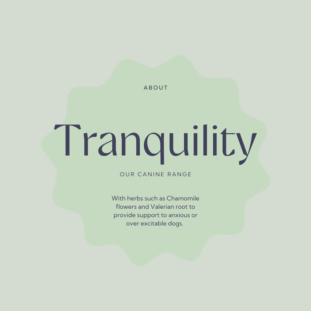 Hilton Herbs Canine Tranquility Suplemento de Hierbas para Perros, 125 g
