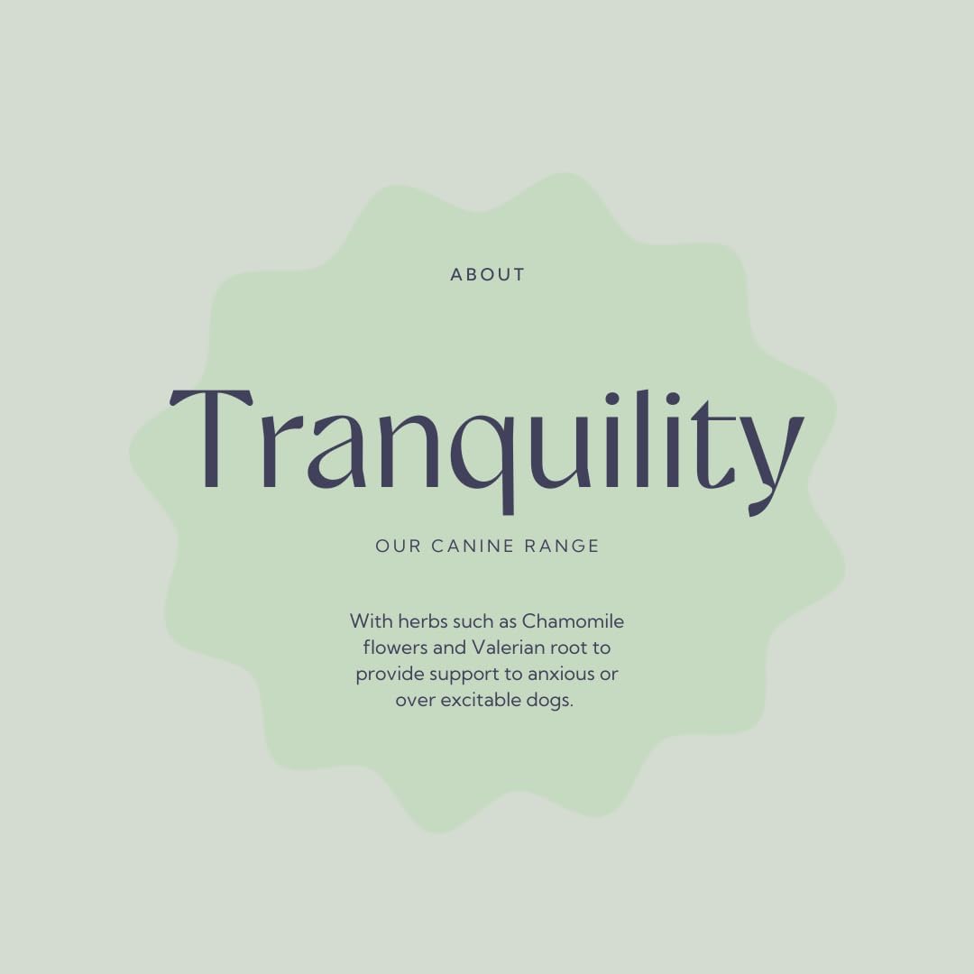 Hilton Herbs Canine Tranquility Suplemento de Hierbas para Perros, 125 g