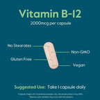 BESTVITE Vitamina B12 (Metilcobalamina) 2000mcg (240 Cápsulas Vegetarianas) - Sin Estearatos - Vegano - No OGM - Sin Gluten