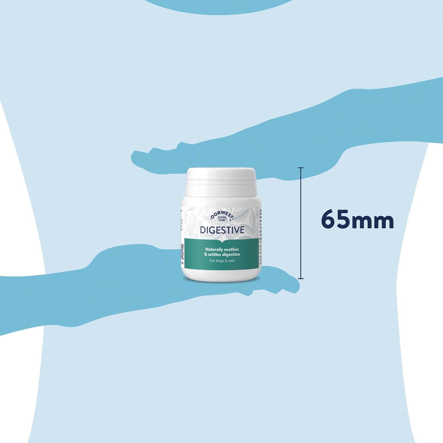 Digestive Aid Tablets for Dogs & Cats by Dorwest