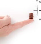 Garden of Life Organics Gomitas Multivitamínicas para Niños, 120 gomitas