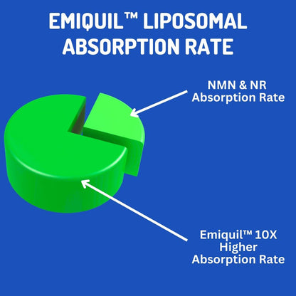BioImmune Emiquil™ Liposomal NMNH, 500mg 60 – Función cognitiva: Niveles adecuados de NAD+ apoyan la plasticidad – Image 6