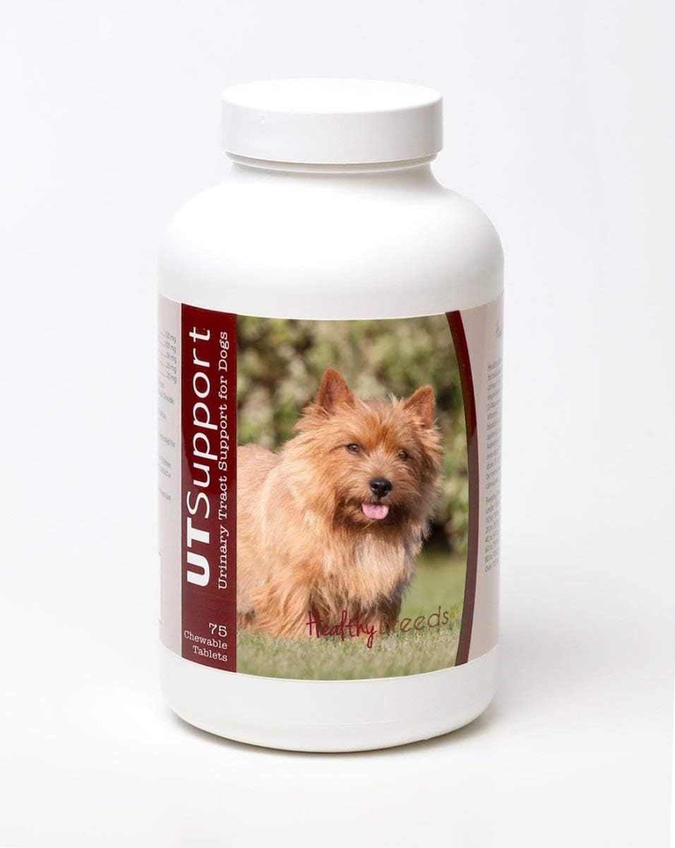 Healthy Breeds Masticables de Arándano para Norwich Terrier - Apoyo Urinario - 75 unidades