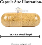 Sunshine Naturals Biotina 5000 mcg - 90 Cápsulas (Pack de 3)