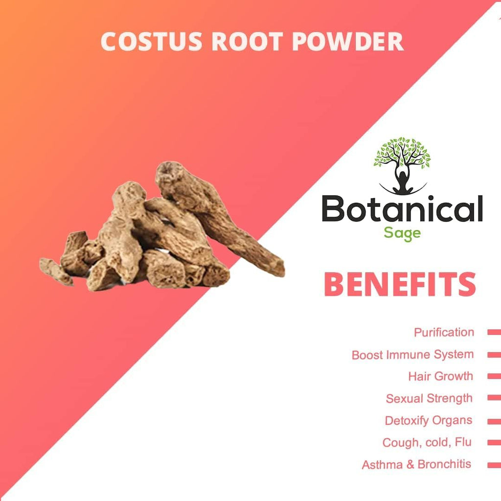 ATS Polvo de Raíz de Costus 100g | Qust Al Hind | Raíz de Costus India