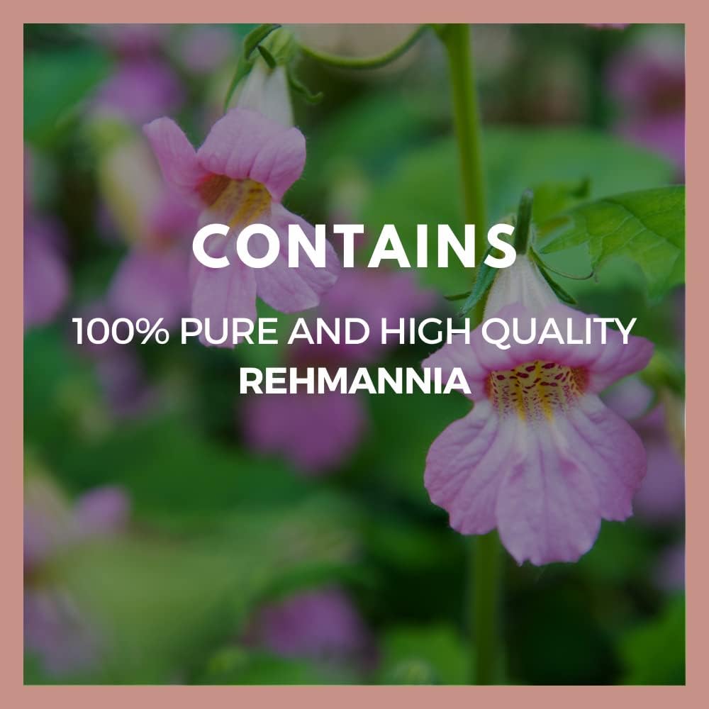 Rehmannia Root - 1.000 mg, 60 Cápsulas Veganas - Suplemento Herbal - 2 Meses de Suministro