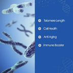 CAW Hypersorption Cycloastragenol 5 mg - 30 Cápsulas Entéricas