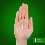 Piping Rock Mejillón de Labio Verde Liofilizado | 120 Cápsulas