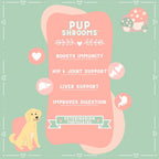 Pup Shrooms - Complejo de Setas en Masticables Blandos para Perros - Melena de León, Cola de Pavo, Shiitake - EPA, DHA, Cúrcuma y Alga Orgánica - 160 unidades