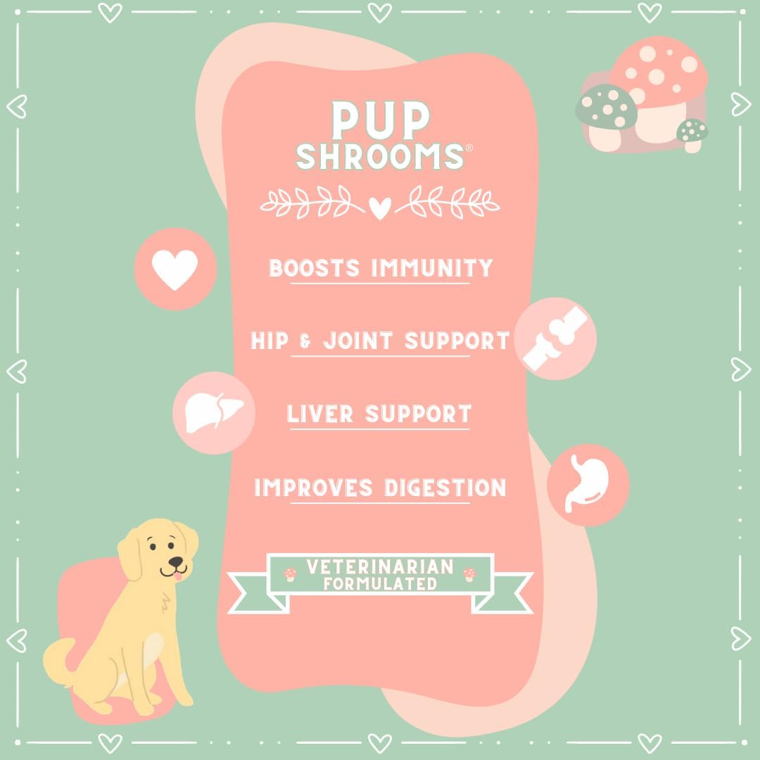 Pup Shrooms - Complejo de Setas en Masticables Blandos para Perros - Melena de León, Cola de Pavo, Shiitake - EPA, DHA, Cúrcuma y Alga Orgánica - 160 unidades