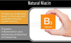 Clinical Daily Suplemento para la Circulación Sanguínea con Butchers Broom, Horse Chestnut, Cayenne, L-arginina y Diosmina - 90 Cápsulas