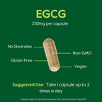BESTVITE EGCG 250mg (120 Cápsulas Vegetales)