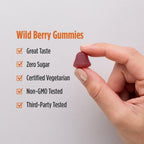 Nordic Naturals Gominolas de Vitamina D3 sin Azúcar - 1000 IU, 60 unidades - Sabor Wild Berry