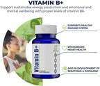 Vitamin B+ - Fomenta la producción de energía sostenible, apoya el sistema inmunológico y ayuda en el desarrollo de serotonina y dopamina | 30 días