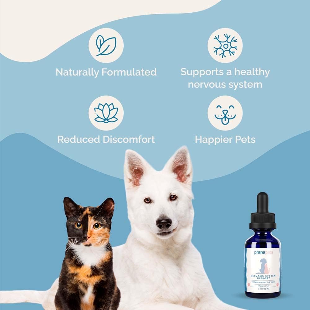 Apoyo al Sistema Nervioso para Perros y Gatos - Fórmula Herbal que Ayuda a Reducir el Nerviosismo y Movimientos Involuntarios - Pack de 2