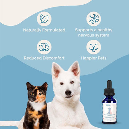 Apoyo al Sistema Nervioso para Perros y Gatos - Fórmula Herbal que Ayuda a Reducir el Nerviosismo y Movimientos – Image 3