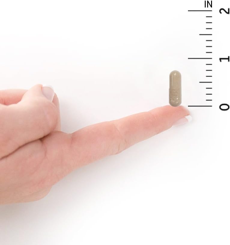 Vitamin Code Men de Garden of Life - Multivitamínico para Hombres con Alimentos Integrales Crudos, Probióticos y Enzimas Digestivas, 240 Cápsulas