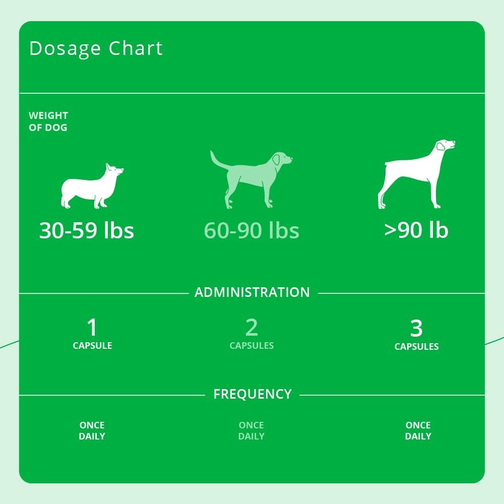 Eicosa3FF SnipCaps Omega 3 Ácidos Grasos Libres Cápsulas para Perros - Grandes, 60 unidades