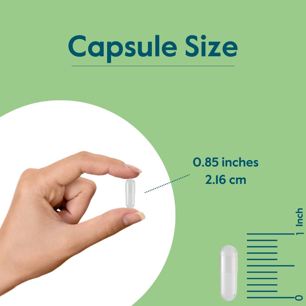 BESTVITE Niacinamida 500mg sin excipientes - 240 Cápsulas - Vitamina B3 sin efecto rubor