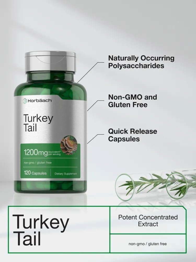 Horbäach Cápsulas de Hongo Cola de Pavo | 120 Cápsulas | Extracto No GMO y Sin Gluten