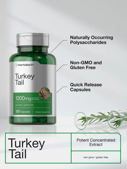 Horbäach Cápsulas de Hongo Cola de Pavo | 120 Cápsulas | Extracto No GMO y Sin Gluten – Image 4