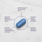 Purity Products Men's Perfect Multi from Vitamins, Minerals and Phytonutrients - Promotes Energy, Vitality and Stamina - Easy to Swallow - 90 Tablets