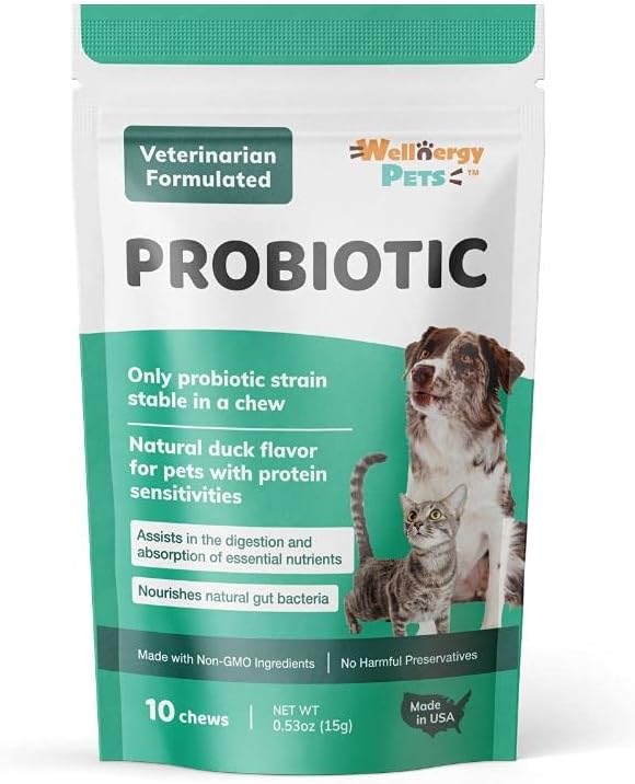 Wellnergy Probióticos y Prebióticos Diarios en Masticables Suaves para Perros y Gatos - 60 unidades