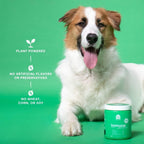 Open Farm Immune Chews, Suplemento para perros con ingredientes vegetales y probióticos para el apoyo inmunológico y cutáneo, 360 g, 90 unidades