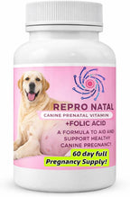 Cápsulas Postnatales y Posparto para Perras – 60 Días – Recuperación Maternal – ReproNatal™
