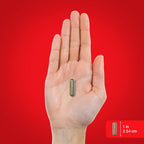 Piping Rock Activador Metabólico AMPK | 450 mg | 60 Cápsulas | Actiponin® | Extracto de Gynostemma Pentaphyllum
