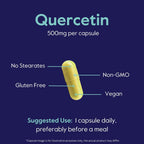 BESTVITE Quercetina 500mg (120 Cápsulas Vegetarianas) - Sin Estearatos - Sin Dióxido de Silicio - Vegano - Sin OGM - Sin Gluten