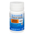 Schuessler Tissue Salts Sílice-100 Comprimidos
