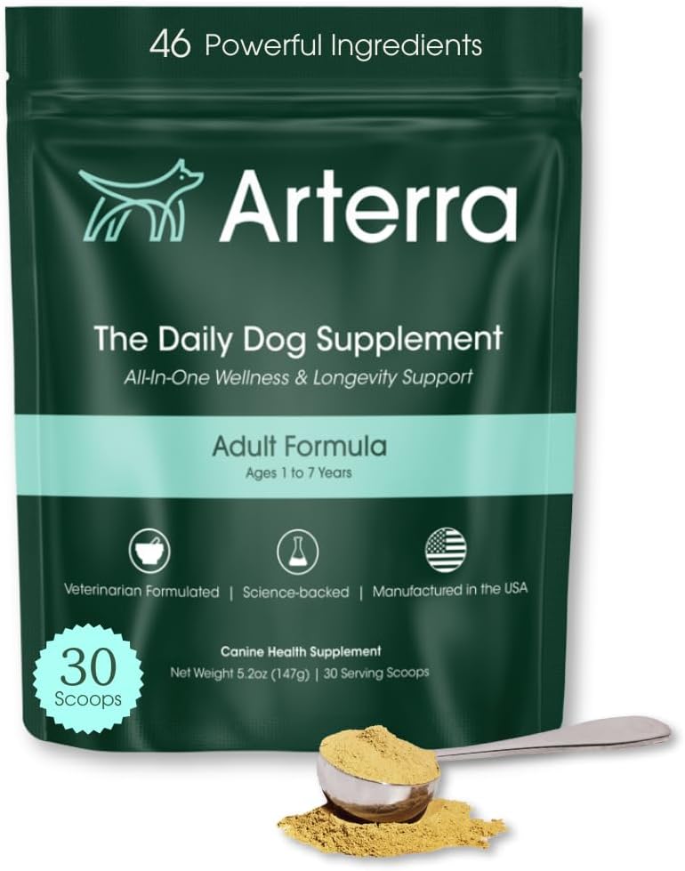 Complemento Alimenticio en Polvo para Perros Adultos – Longevidad Diaria – 46 Ingredientes para Salud Intestinal, Inmune y Cognitiva – 30 Dosis