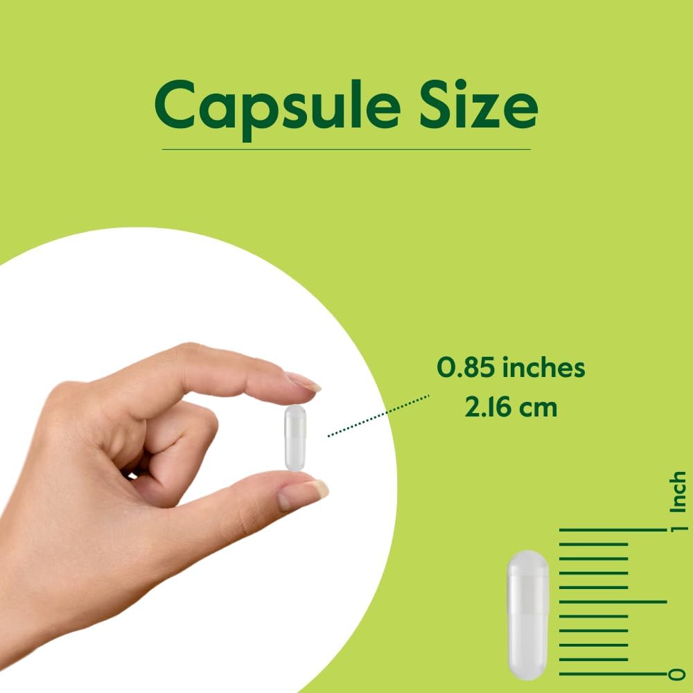 BESTVITE Raíz de Remolacha - 550mg por Cápsula (120 Cápsulas Vegetarianas) - Sin Estearatos - Sin Maltodextrina - Vegano