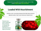 Extracto de Hoja de Papaya 1000 mg - 300 Comprimidos (150 Raciones)