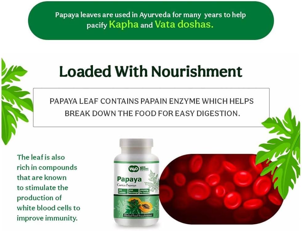 Extracto de Hoja de Papaya 1000 mg - 300 Comprimidos (150 Raciones)