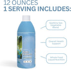 Youngevity Body Balance Land & Sea Plant Based Nutrition - 75+ Nutrientes con Algas, Aloe Vera y Miel - 32 Fl Oz (2 Unidades)