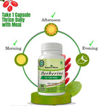 Ayurvedic Berberine (60 Cápsulas) - Organic Herbs