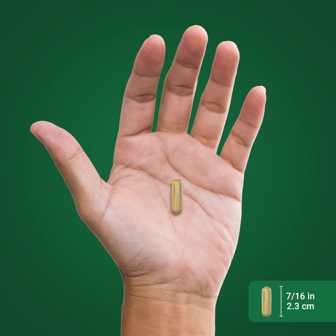 Piping Rock Berberina HCL Cápsulas 500mg - 120 Cápsulas - Extracto de Berberina - No Transgénico, Sin Gluten