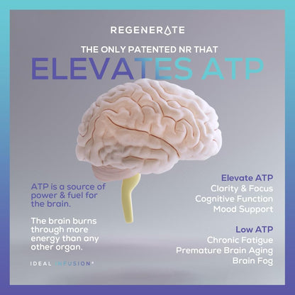 Regenerate Suplemento NAD+ Liberación – Aumenta ATP y glutatión: Es el único suplemento NAD+ que ha demostrado – Image 7